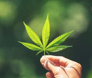 Aidvian CBD